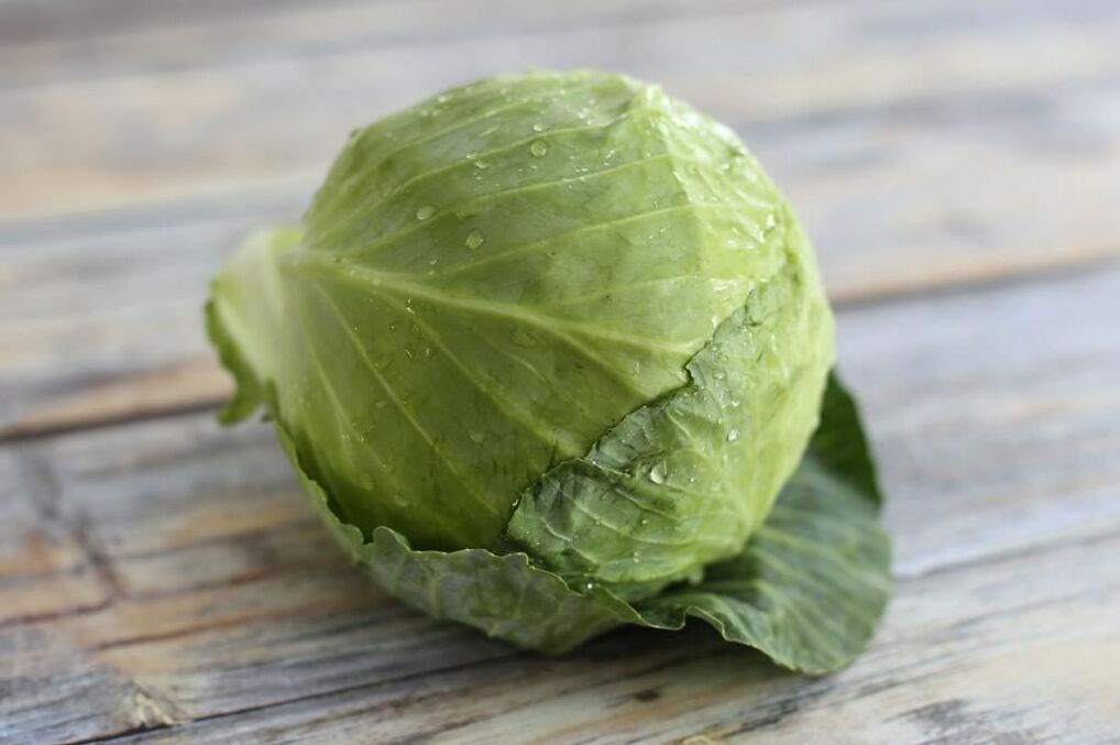 Cabbage leaf