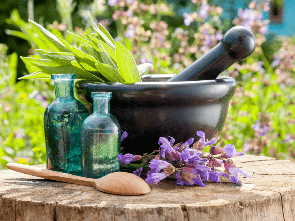 Medicinal herbal baths for osteochondrosis